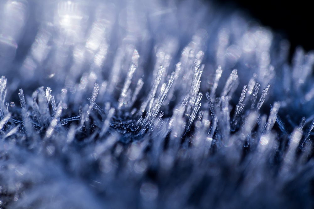 Givre hivernal