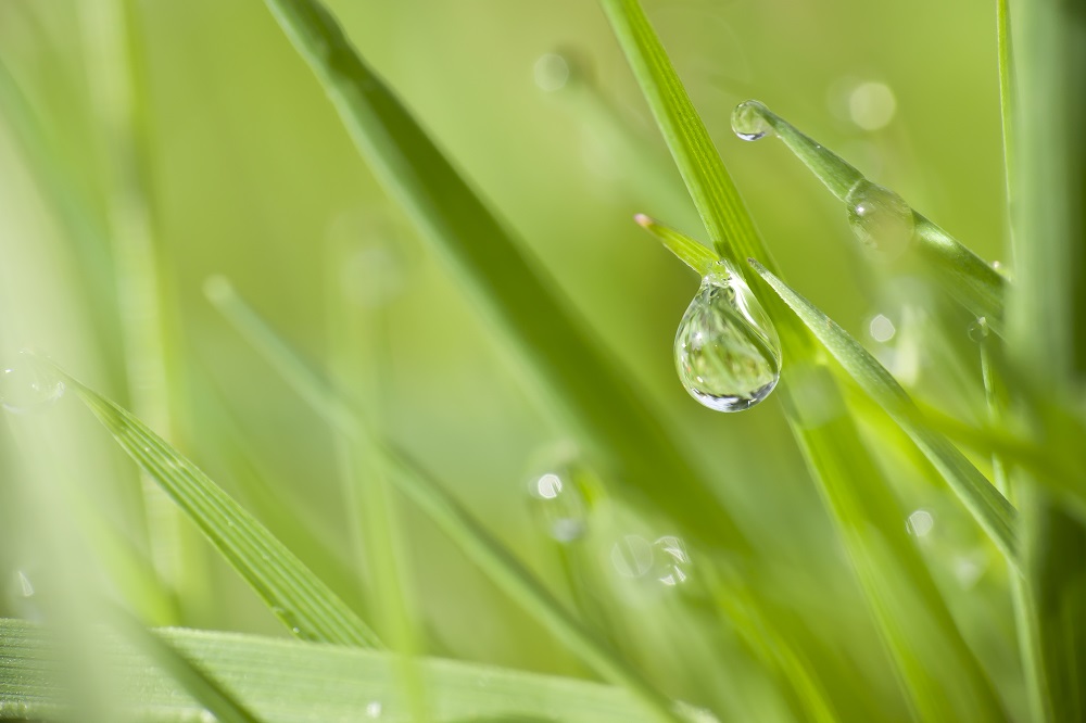 La goutte d'eau