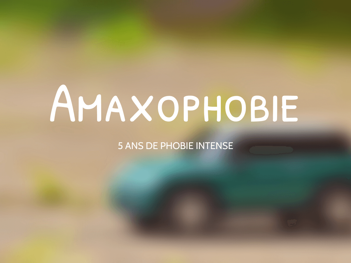 Amaxophobie rex