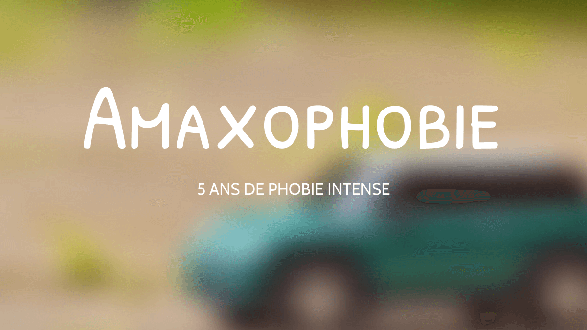 Amaxophobie rex