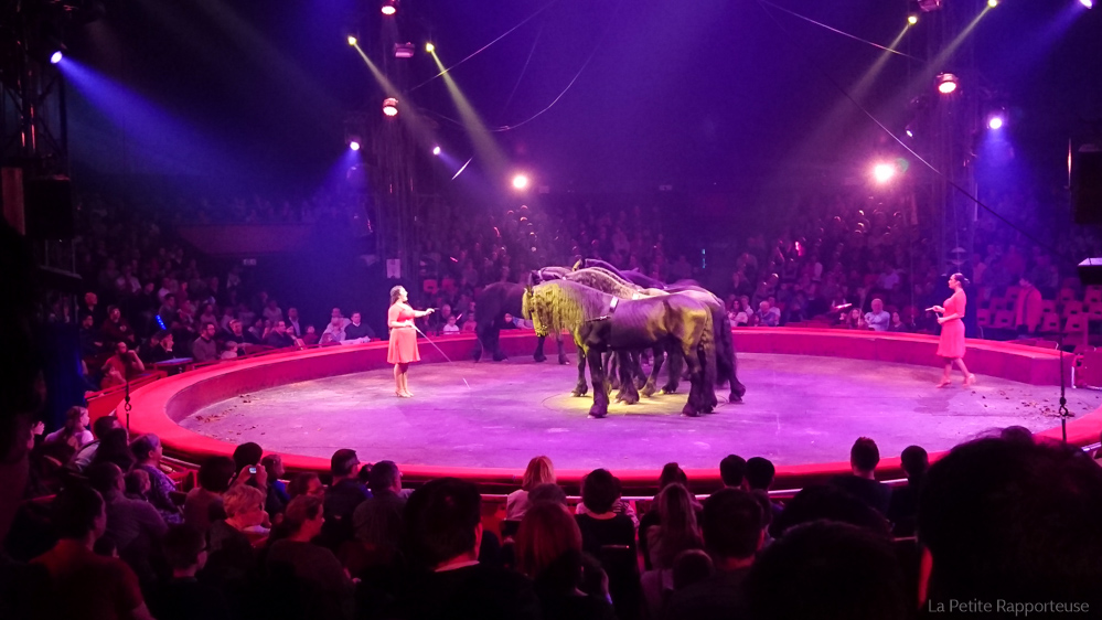 Arlette gruss chevaux