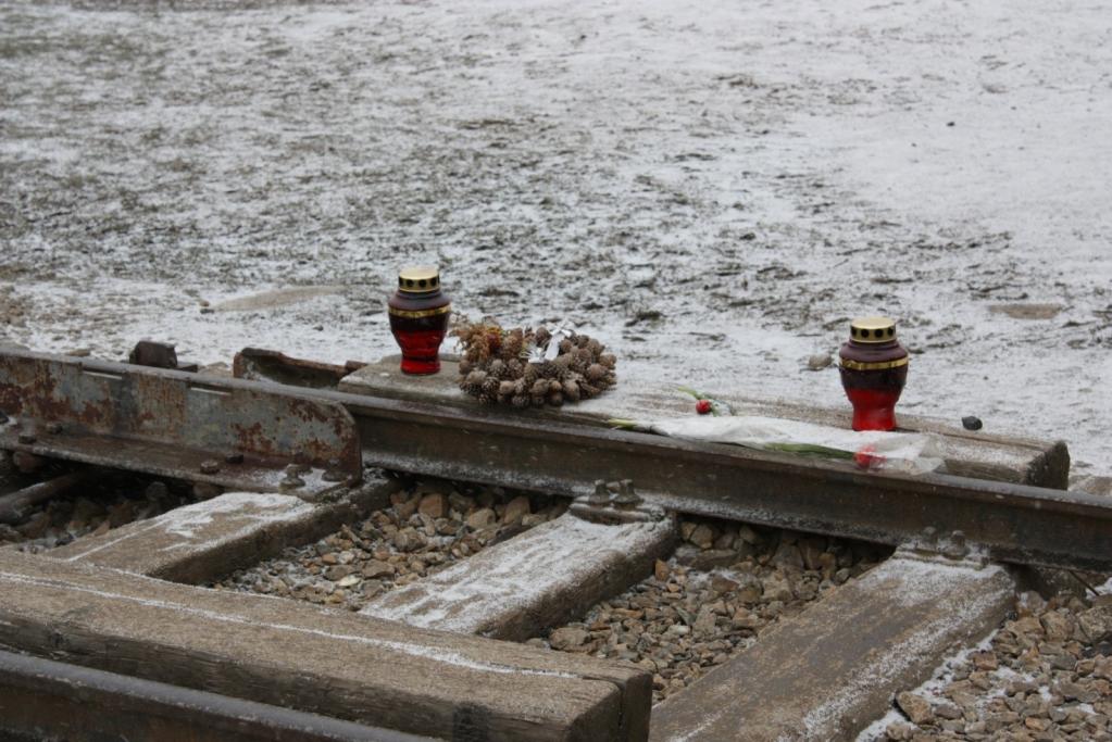 Rail à l'entrée du camp d'Auschwitz