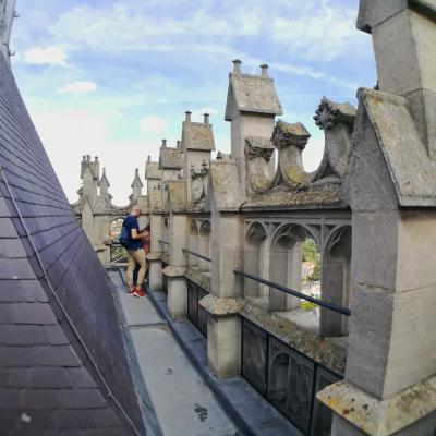 En haut tour gauche  - Cathédrale Amiens