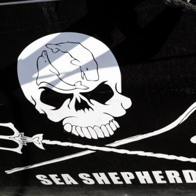 Sea Shepherd Conservation Society