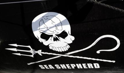 Sea Shepherd Conservation Society