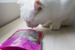 Mimie et les friandises de Miaoubox