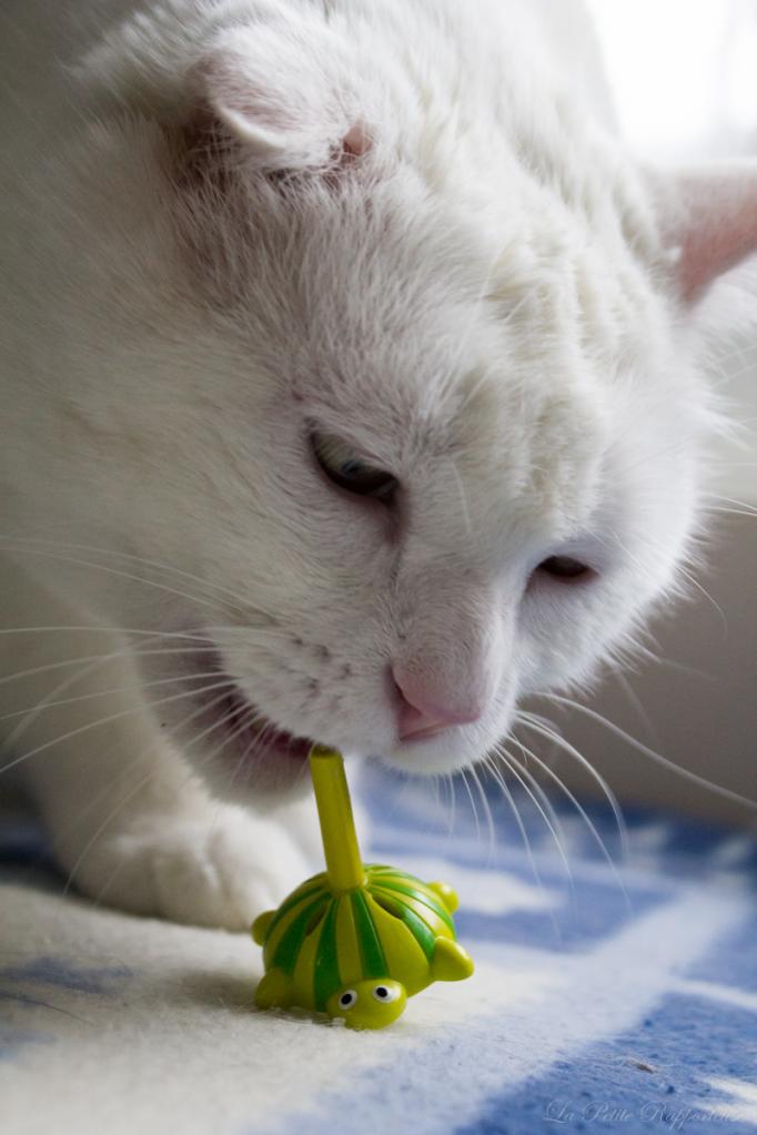 Mimie et la toupie