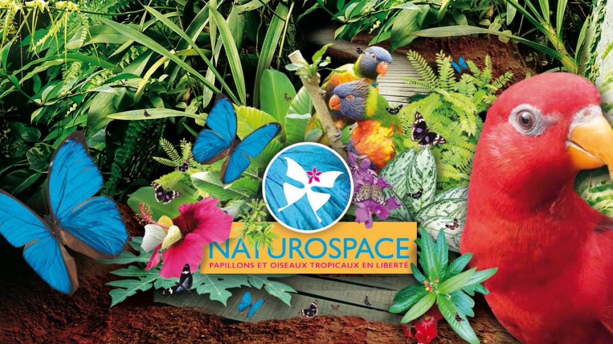 Naturospace-Honfleur (droits réservés)