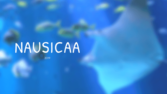 Nausicaa 2019